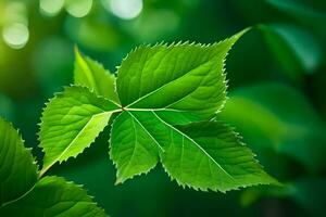 une proche en haut de une feuille avec vert feuilles. généré par ai photo