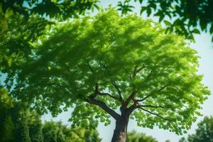 une arbre est montré dans le milieu de une vert champ. généré par ai photo