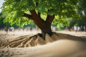 une arbre avec les racines croissance en dehors de le sable. généré par ai photo