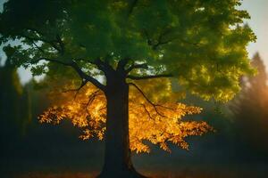 photo fond d'écran le soleil, arbre, l'automne, le soleil, le arbre, le soleil, le. généré par ai
