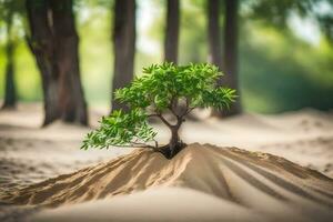 une petit arbre est croissance en dehors de le le sable dans le milieu de une forêt. généré par ai photo