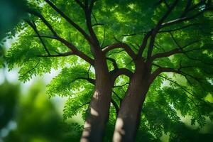 une arbre avec feuilles et branches dans le Soleil. généré par ai photo