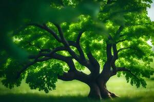 une arbre est montré dans une vert champ. généré par ai photo