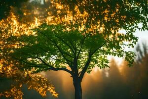 une arbre dans le milieu de une forêt avec le Soleil brillant par le des arbres. généré par ai photo