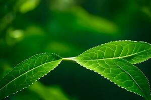 une proche en haut de une feuille avec vert feuilles. généré par ai photo