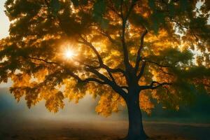 une arbre dans le brouillard avec le Soleil brillant à travers. généré par ai photo