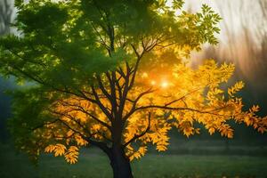 une arbre avec Jaune feuilles dans le Soleil. généré par ai photo