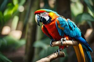 une coloré perroquet est séance sur une branche. généré par ai photo