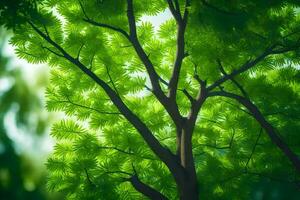 une arbre avec vert feuilles dans le forêt. généré par ai photo