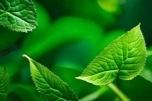 vert feuilles sur une vert Contexte. généré par ai photo