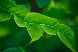 une proche en haut de une feuille avec vert feuilles. généré par ai photo