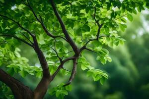 une arbre avec vert feuilles dans de face de une flou Contexte. généré par ai photo