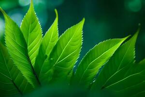 une proche en haut de vert feuilles. généré par ai photo