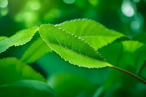 une proche en haut de une feuille avec vert feuilles. généré par ai photo