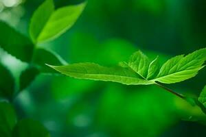 vert feuilles sur une arbre. généré par ai photo