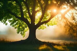 photo fond d'écran le ciel, des arbres, herbe, soleil, arbre, le soleil, arbre, le. généré par ai