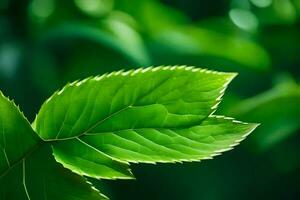 une proche en haut de une feuille. généré par ai photo