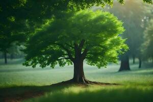 photo fond d'écran le ciel, des arbres, herbe, prairie, des arbres, le forêt, le forêt. généré par ai