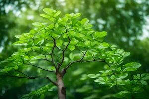 une arbre avec vert feuilles dans de face de une vert Contexte. généré par ai photo