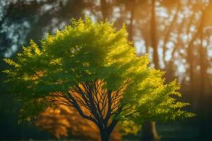 une arbre dans le milieu de une champ avec le Soleil brillant. généré par ai photo