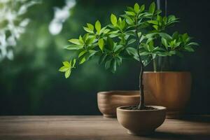 une petit plante dans une pot sur une tableau. généré par ai photo