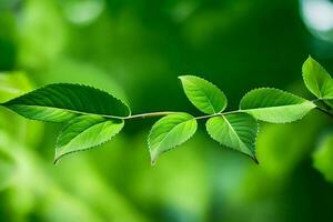 vert feuilles sur une arbre branche. généré par ai photo