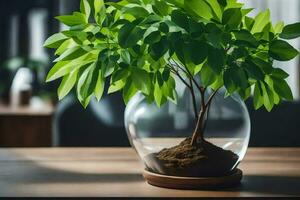 une petit plante dans une verre vase sur une tableau. généré par ai photo