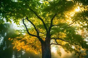 une arbre dans le Soleil avec le Soleil brillant par le feuilles. généré par ai photo