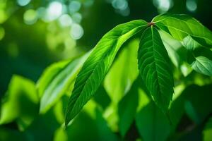 une proche en haut de une vert feuille. généré par ai photo