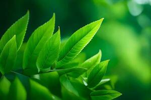 vert feuilles sur une arbre. généré par ai photo