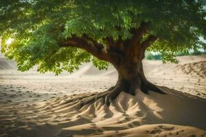 une arbre dans le désert avec le sable dunes dans le Contexte. généré par ai photo