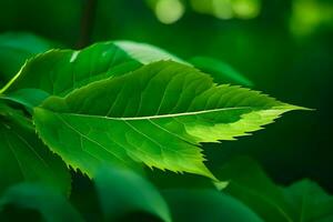 une proche en haut de une vert feuille sur une arbre. généré par ai photo