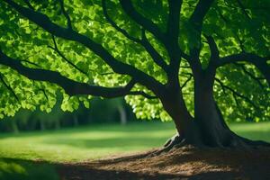 une arbre est montré dans le lumière du soleil avec vert feuilles. généré par ai photo