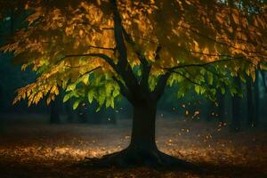 photo fond d'écran le ciel, des arbres, feuilles, lumière, l'automne, le forêt, le des arbres,. généré par ai