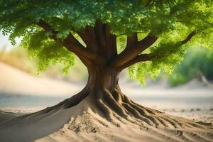 une arbre avec les racines croissance en dehors de le sable. généré par ai photo