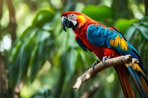 une coloré perroquet est assis sur une branche dans le jungle. généré par ai photo