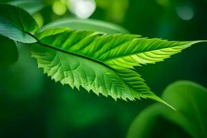 une proche en haut de une feuille avec vert feuilles. généré par ai photo