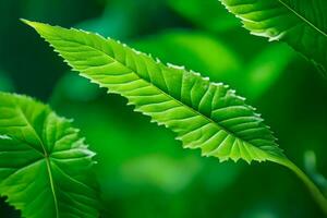 une proche en haut de une vert feuille. généré par ai photo