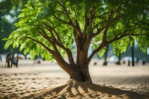 une arbre avec feuilles croissance en dehors de le sable. généré par ai photo