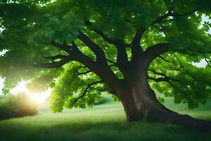 une arbre est montré dans le lumière du soleil avec le Soleil brillant à travers. généré par ai photo