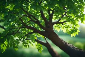 une arbre avec vert feuilles dans le lumière du soleil. généré par ai photo