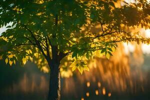 une arbre est montré dans le Soleil avec le Soleil brillant à travers. généré par ai photo