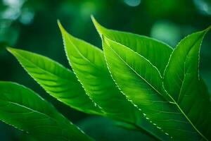 une proche en haut de vert feuilles sur une arbre. généré par ai photo