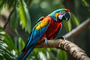 une coloré perroquet est assis sur une branche. généré par ai photo