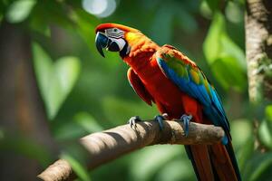 une coloré perroquet est assis sur une branche dans le forêt. généré par ai photo
