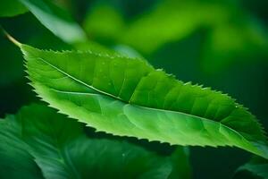 une proche en haut de une feuille avec vert feuilles. généré par ai photo