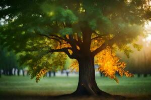 une arbre dans une champ avec le Soleil brillant par il. généré par ai photo