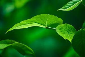 vert feuilles sur une plante dans une forêt. généré par ai photo