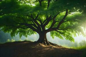 photo fond d'écran le ciel, des arbres, herbe, soleil, arbre, vert, arbre, forêt,. généré par ai