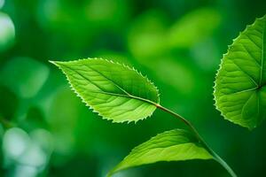 vert feuilles sur une arbre. généré par ai photo